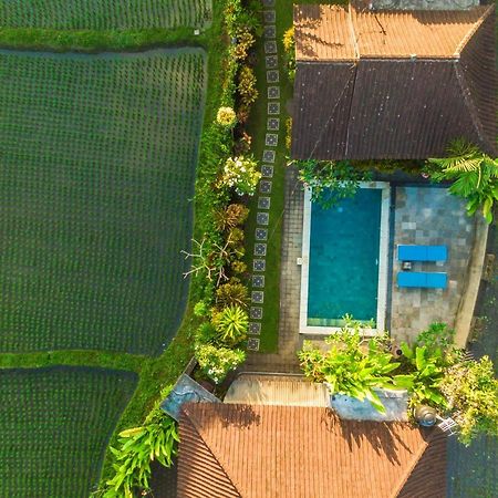 Ubud Glassy Villa By Pramana Villas Екстер'єр фото