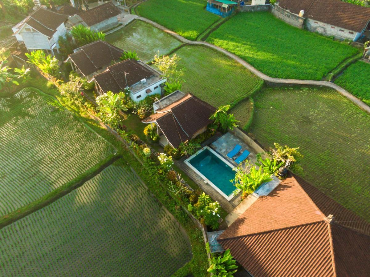 Ubud Glassy Villa By Pramana Villas Екстер'єр фото